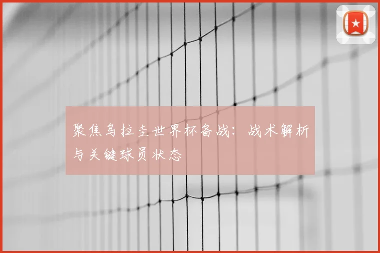 聚焦乌拉圭世界杯备战：战术解析与关键球员状态