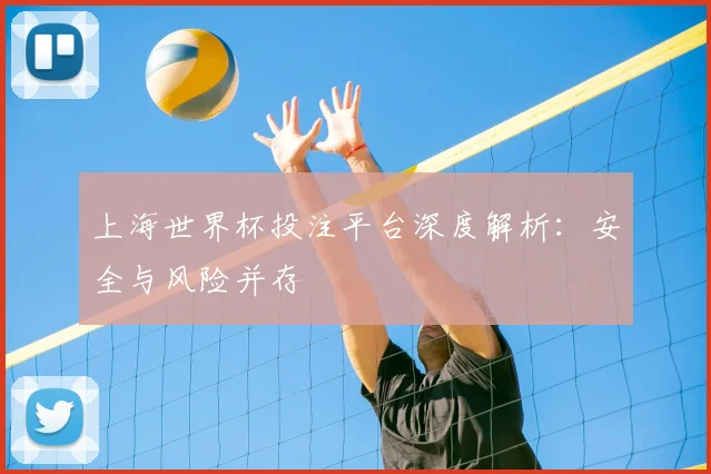 上海世界杯投注平台深度解析:安全与风险并存