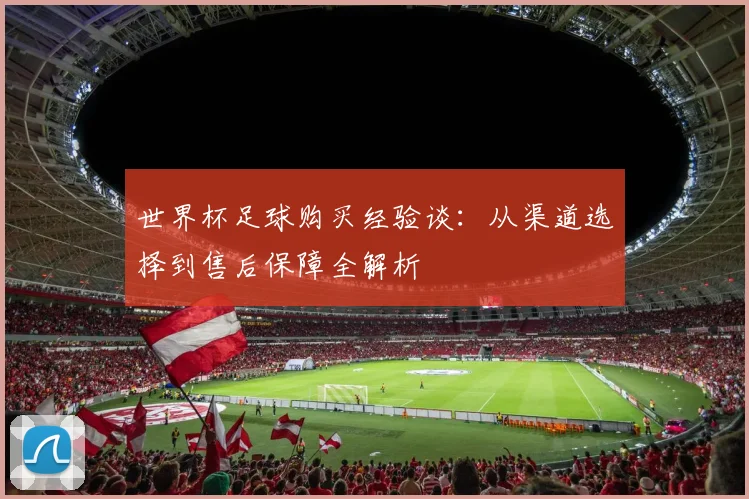 世界杯足球购买经验谈:从渠道选择到售后保障全解析