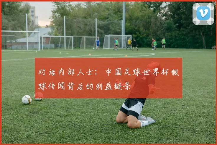 对话内部人士：中国足球世界杯假球传闻背后的利益链条