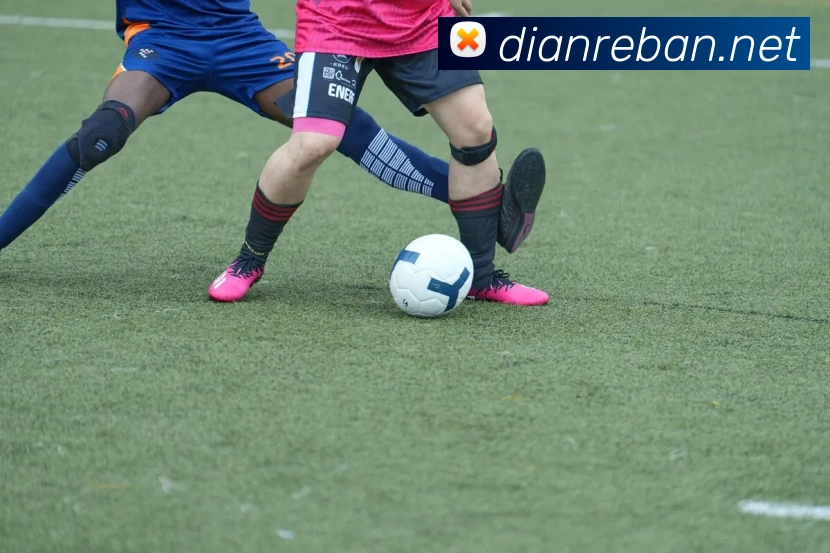 世界杯直播入口官网品牌故事